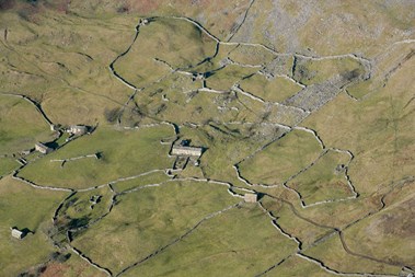 A farmstead and field system bordered by stone walls.