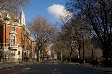 A wide road with a red brick building to the left.  There are tall trees planted on both sides of the road