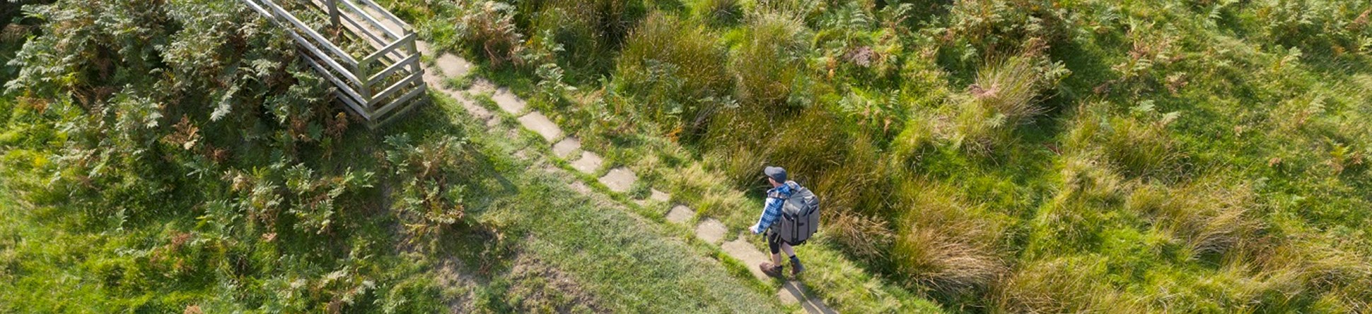 Kirby Bank Trod, North York Moors