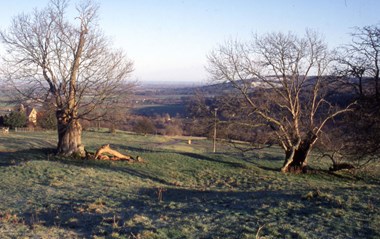 Near Halies Abbey, Gloucestershire