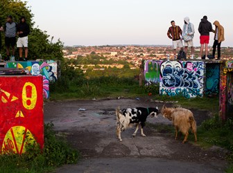 Young men standing on a graffitied structure with two goats in the foreground and rooftops of a residential area in the background.