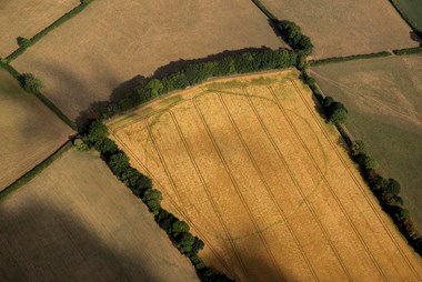 Aerial view of Prehistoric Enclosure