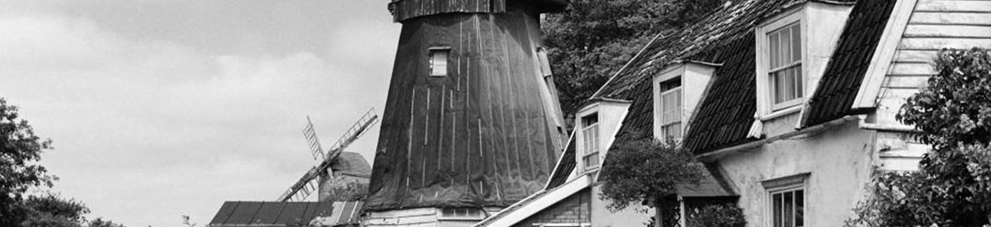 General view from lane showing cap of post mill in background