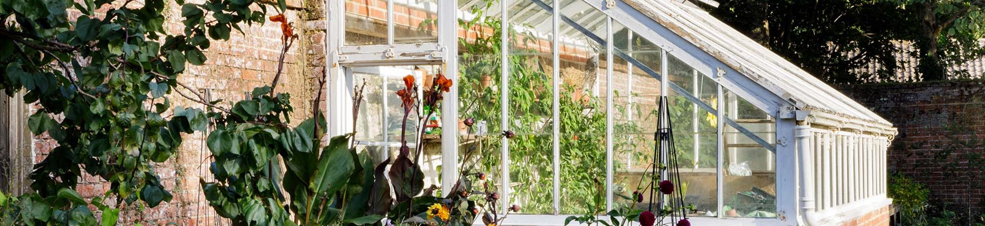 The photograph shows a greenhouse with flowerbeds in bloom with dahlias and daisies, in the foreground.