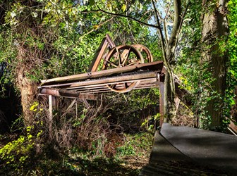 View of a former colliery's headgear surrounded by overgrown trees and bushes