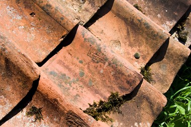 Detail of clay roof tiles.