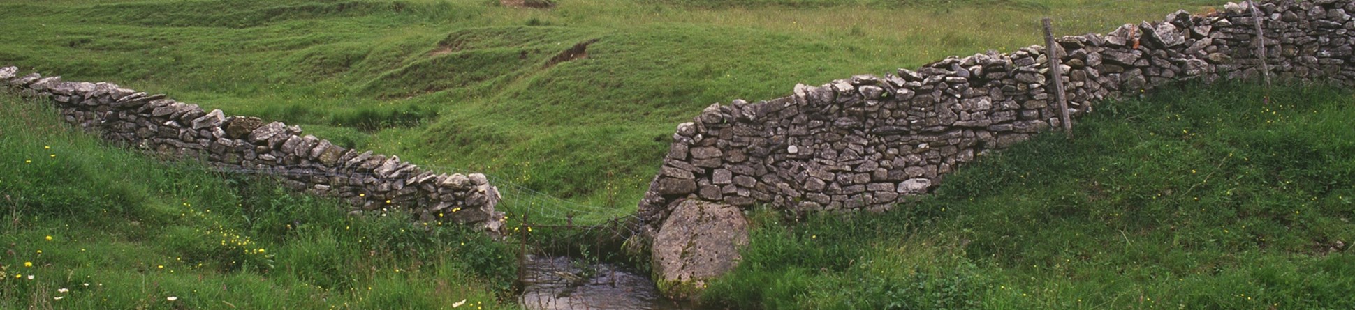 A dry-stone wall in grassland with a stream running through a gap in the middle.