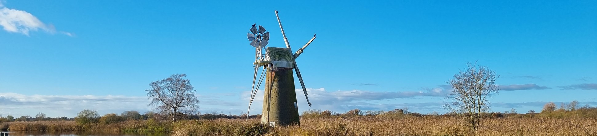 The Mill is shown within the reeds with the river to the fore