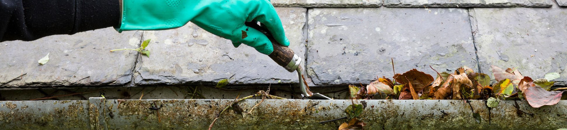 Gloved hand cleaning blocked gutter of leaves using a trowel.